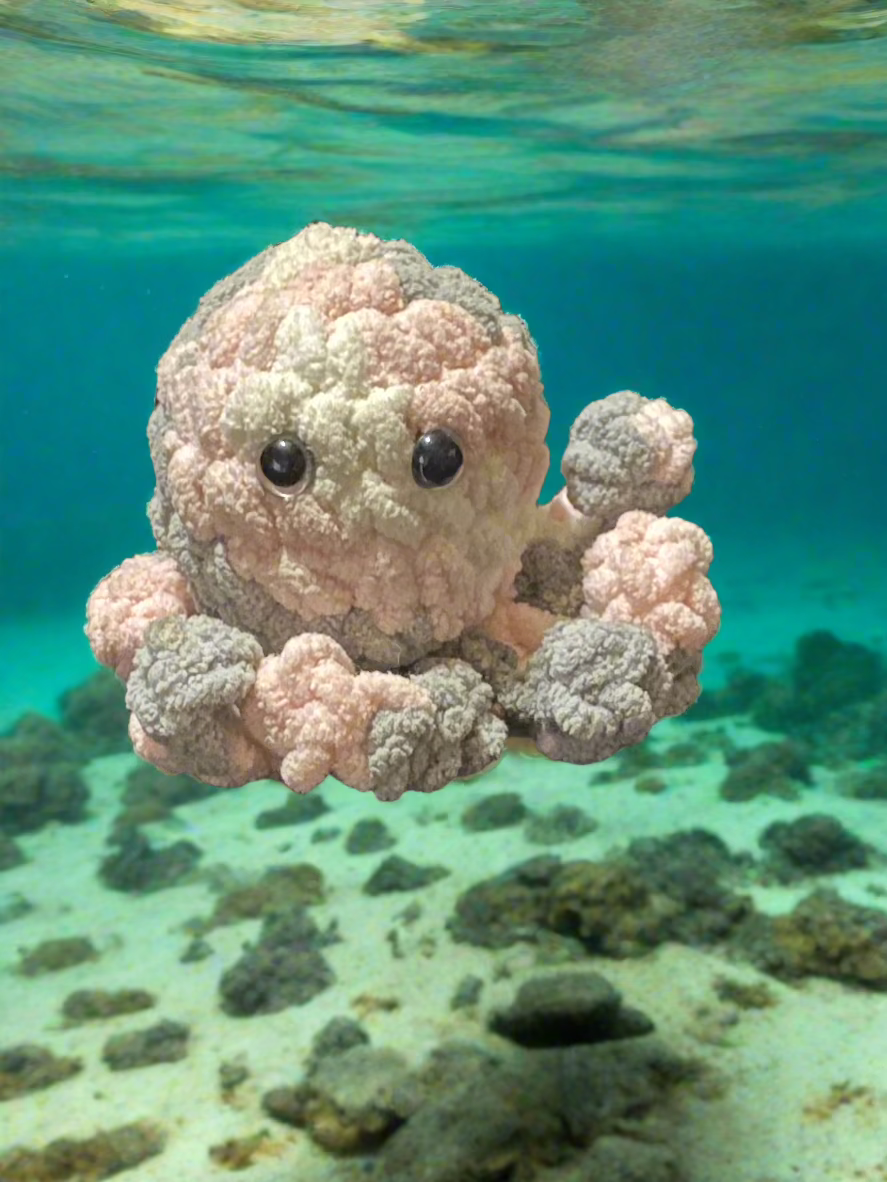 Octopus - long legs