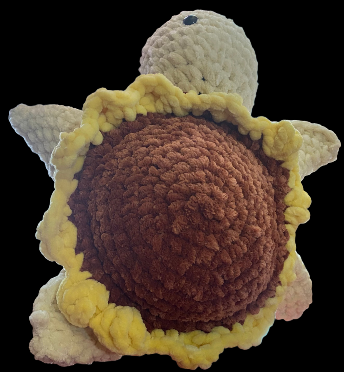 Sunflower Turtle