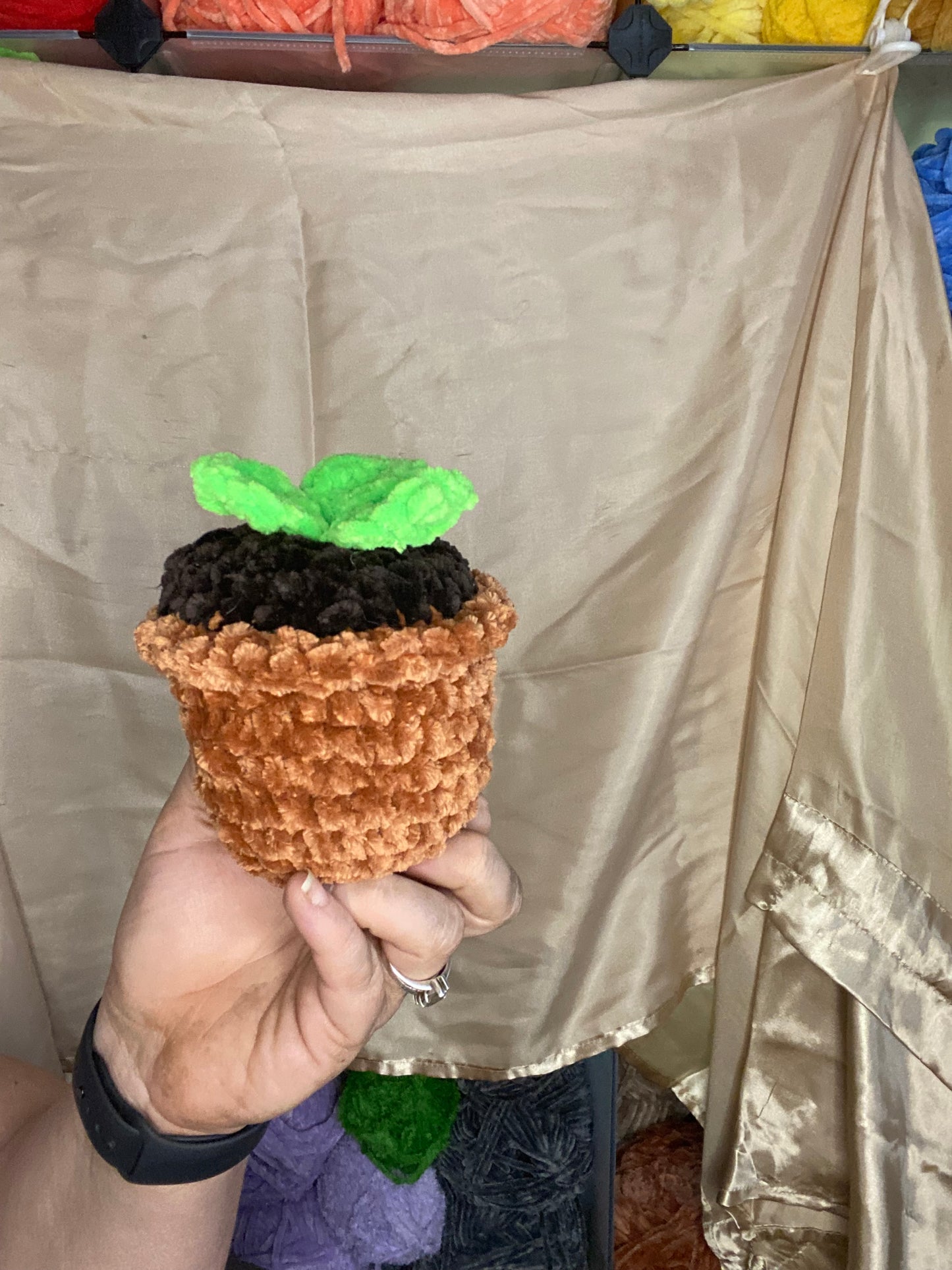 Sprouty the Plant