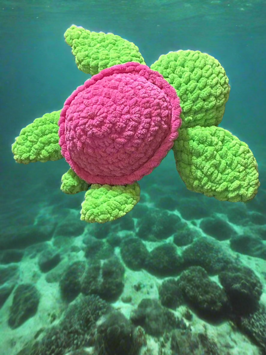Sea Turtle