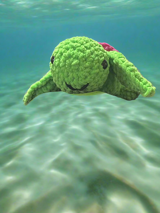 Sea Turtle