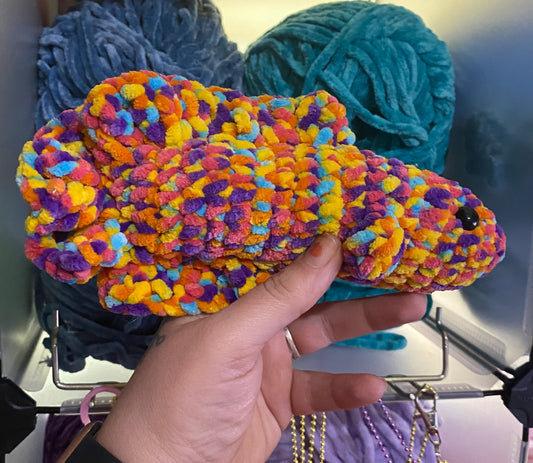 Rainbow Betta Fish
