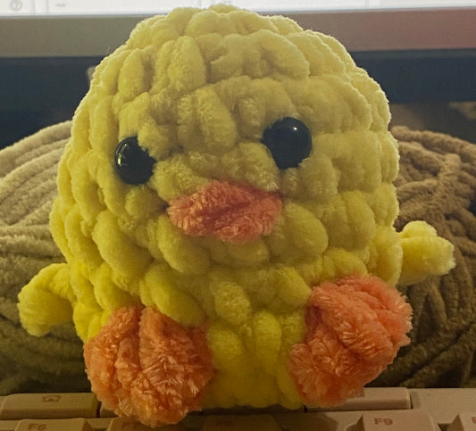 Baby chick